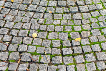 Paving stone.