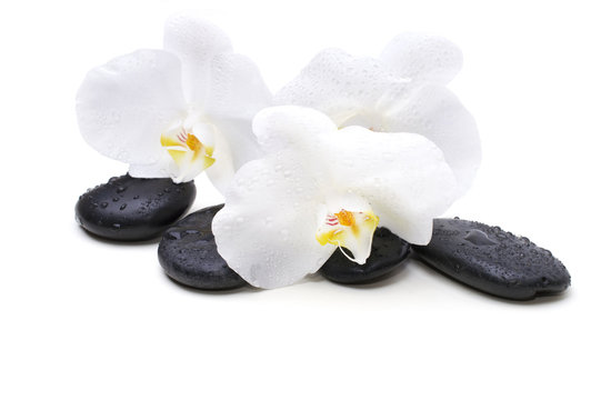 Fototapeta Spa white orchid with massage stones on white