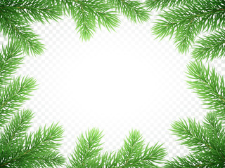 Christmas holiday greeting card background template of New Year fir or green pine tree branch wreath frame. Vector Christmas or New Year banner decoration design on transparent luxury white