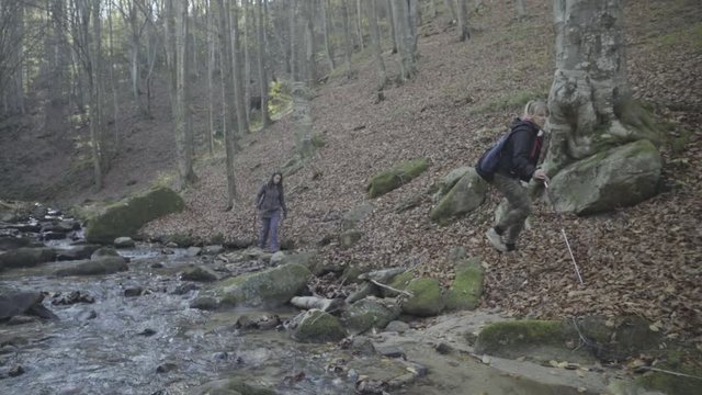 Young women with  hiking equipment using trekking poles to walk through deep forest  covered with yellow fallen leaves near the creek to thoughtful man while sits and looks in map at evening, crane