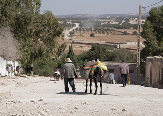 An old man leading his grocery laden donkey away from the weekly berber open market a short way from Essaouria in Morocco - Landscape