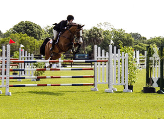A horse and rider jumping over an obstacle.
