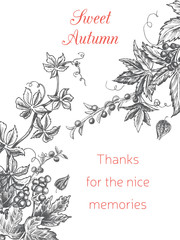 Vector illustration sketch autumn. Autumn postcard garden branches of grapes, viburnum, plum, ashberry.
