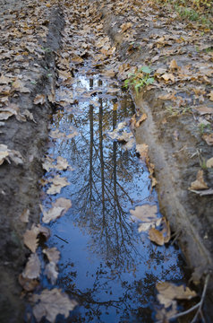 The reflection of the evening