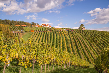 steirische Weinberge im Herbst