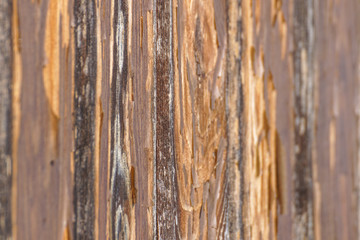 Close up of wooden jetty . wooden board for walk . selective focus