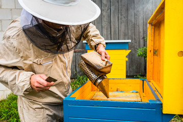 Pszczelarstwo - Pszczelarz podczas pracy - obrazy, fototapety, plakaty
