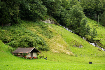 Zielony krajobraz w Meiringen