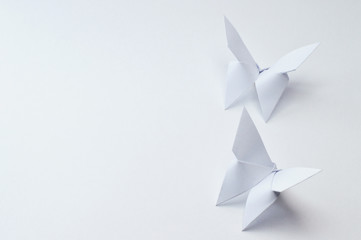 origami butterflies on white background - obrazy, fototapety, plakaty