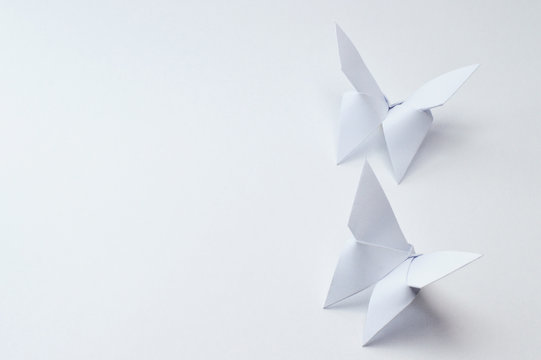 origami butterflies on white background