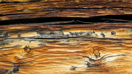 Naklejka premium Altholz-Verwitert-Holztextur