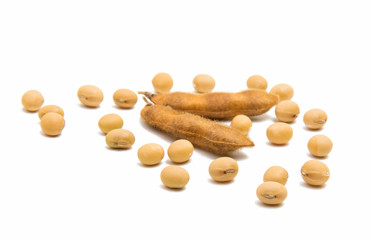 dry soy beans isolated