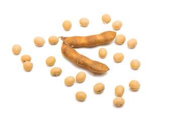 dry soy beans isolated