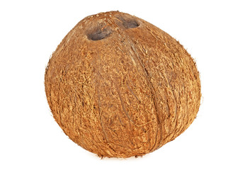 Ripe coconut isolated on a white background