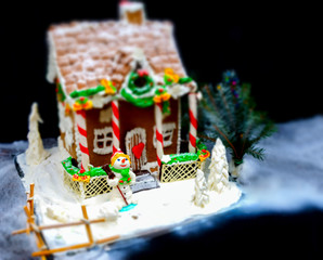 Big gingerbread house, a sprig of Christmas tree and a sugar mastic snowman on dark background