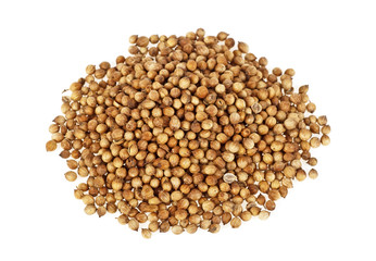 Pile of coriander seeds isolated on white background