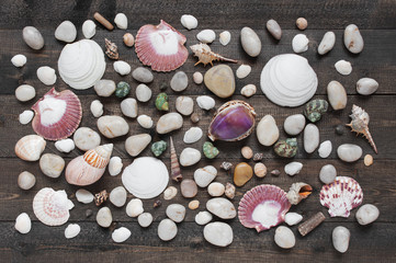 Pattern of sea shells and pebble on the wooden boards