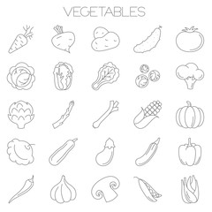  vegetables vector icon set