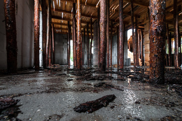 Drewniana konstrukcja, budowa domu © olekgraf