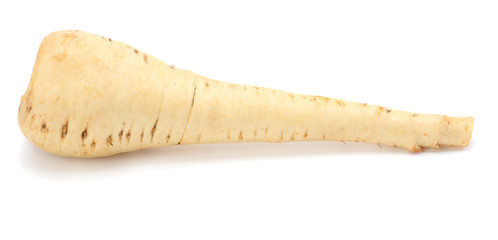 Parsnip isolated on the white background close up