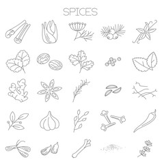 Thin line spices vector icon set.