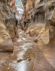Willis Creek Canyon