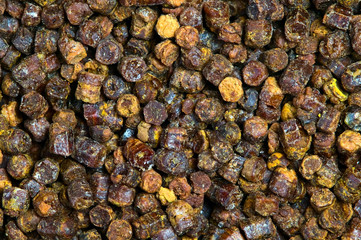 Propolis granules texture, bee product