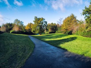 Early Autumn countryside morning,Northern Ireland