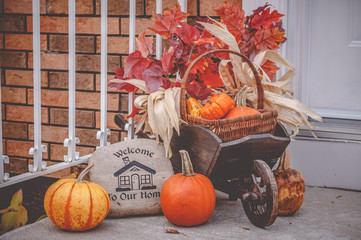 Autumn Colour Display