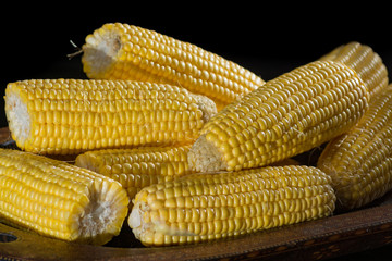 Raw sweet corn, yellow ripe corn ears