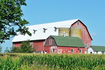 Barn and Shed