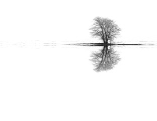 Fototapeta na wymiar Winter landscape tree reflections