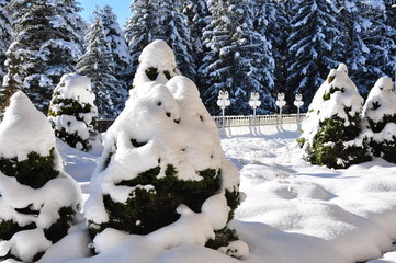 Winter landscape. Tyrol, Austria