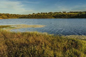 pond in the pastures of the range of Saint Peter in Caceres, Spain.