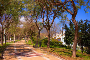 Street. Beautiful Spanish street. Costa del Sol, Andalusia, Spain.