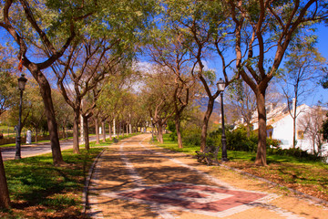 Street. Beautiful Spanish street. Costa del Sol, Andalusia, Spain.