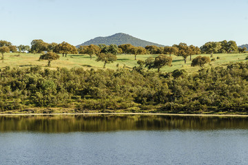 pond in the pastures of the range of Saint Peter in Caceres, Spain.