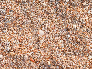 sandy ground floor