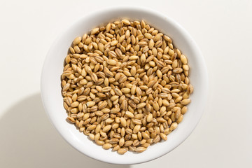 Barley cereal grain. Top view of grains in a bowl. White background.