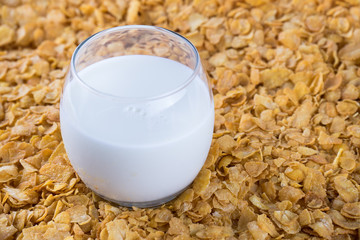 Breakfast in a glass of milk over muesli.