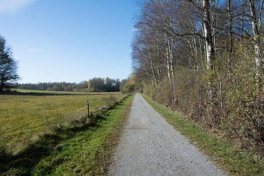 Schnurgerader Weg am Waldrand