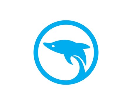 Dolphin logo icon vector