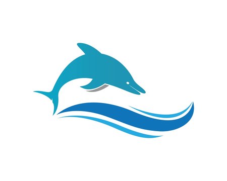 Dolphin logo icon vector