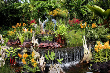 Nationaler Orchideen-Garten Singapur