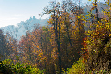 Fototapeta premium Foggy or hazy morning in autumn mountain forest, picturesque and colorful scene from Medvednica mountain near Zagreb in Croatia
