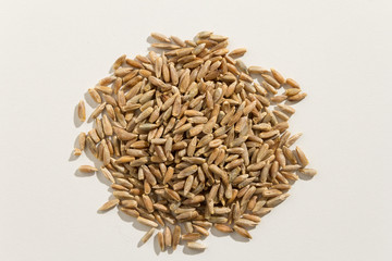 Rye cereal grain. Pile of grains. Top view.