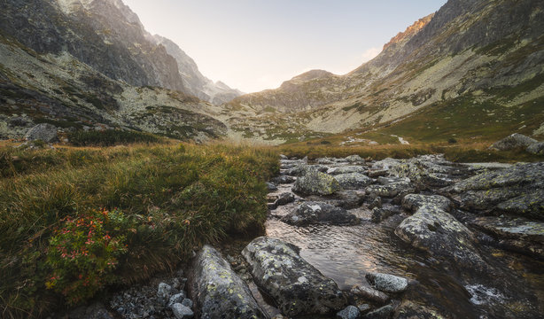 Creek in the Valley under the Mountain Peaks at Sunset. Velicka Valley, High Tatra, Slovakia.