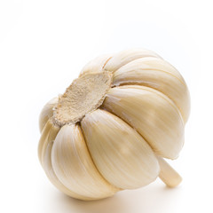 Garlic isolated on the white background.