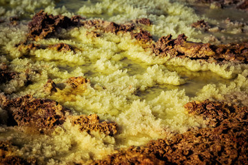 Dallol, Danakil Depression, Ethiopia. The hottest place on earth.