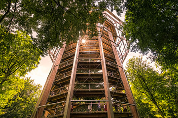 Der Baumwipfelpfad auf Rügen von unten, eine beeindruckende Konstruktion aus Holz